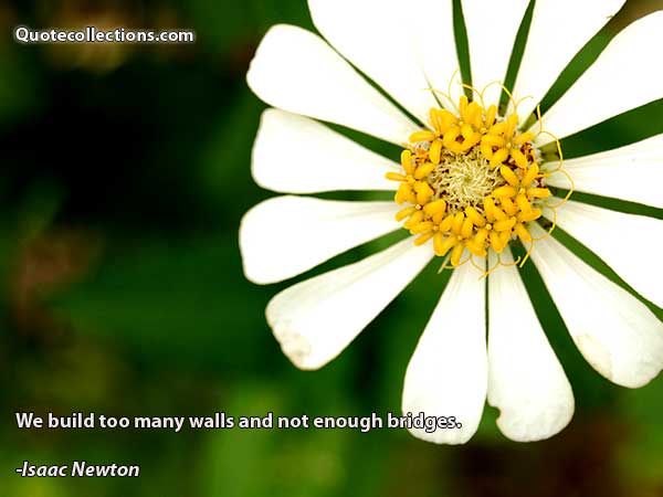 Isaac Newton Quotes1